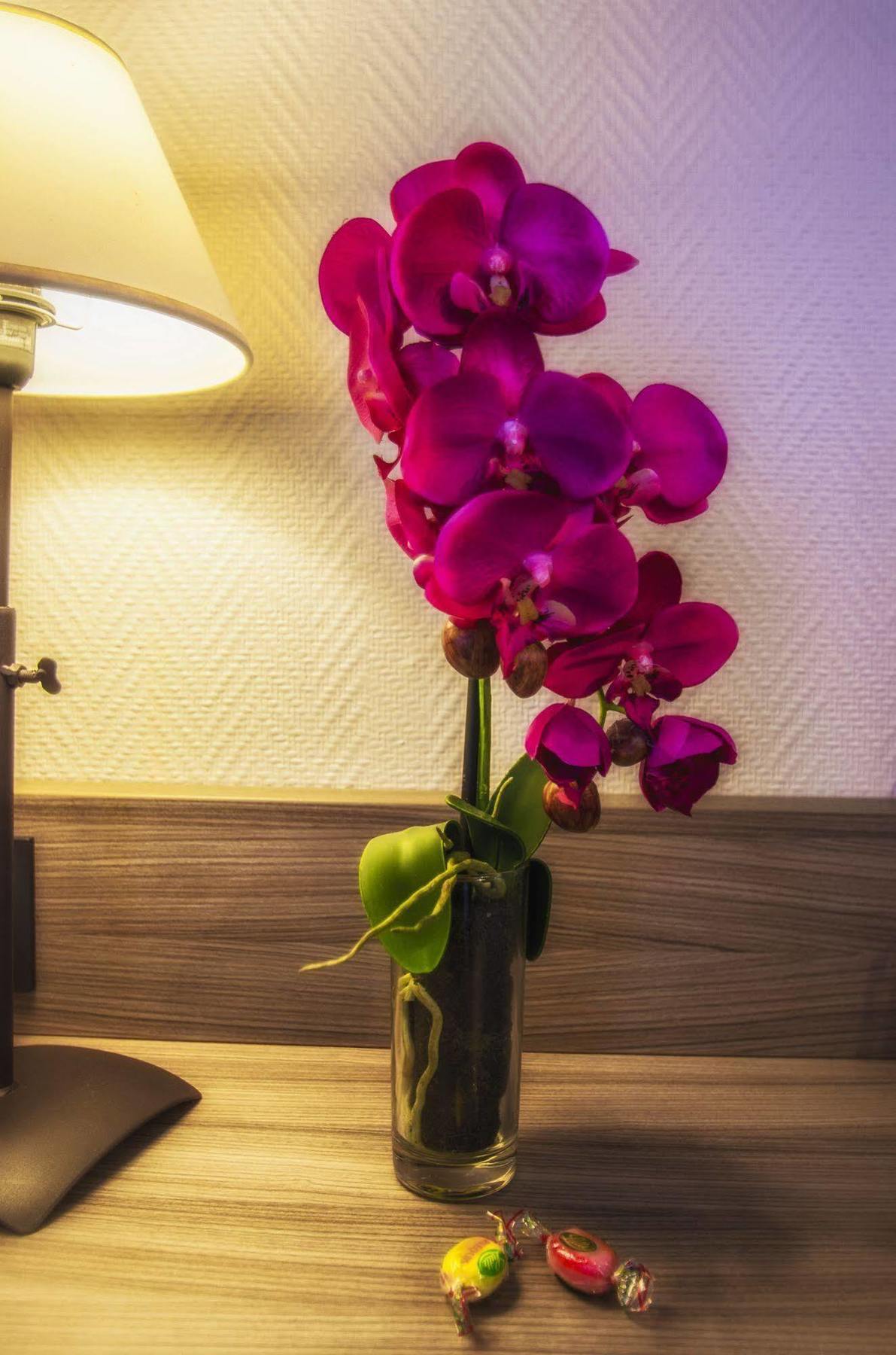 טולוז Hotel Prado Avec Parking - Proche Zenith מראה חיצוני תמונה